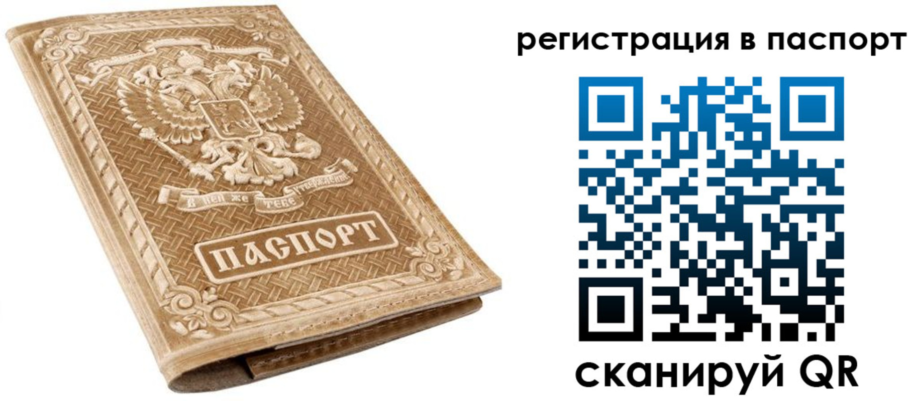 прописка в Кузнецке